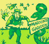 Cover image for Marvin's Garden