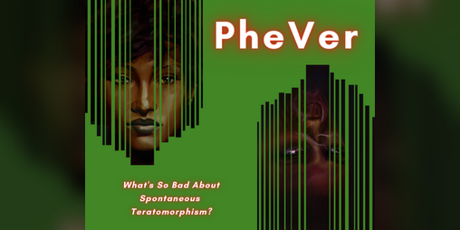 Cover image for PheVer