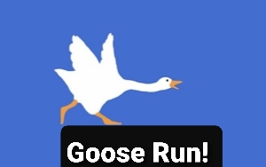 Goose Run!