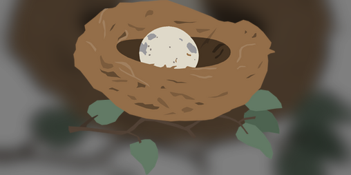 Cover image for Empty Nest