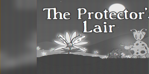 Cover image for The Protector's Lair