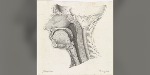 Cover image for Barber's Guide to Humorism