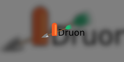 Cover image for DruonIO