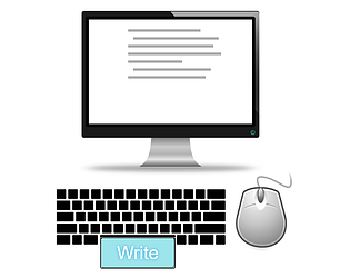 Essay Writer