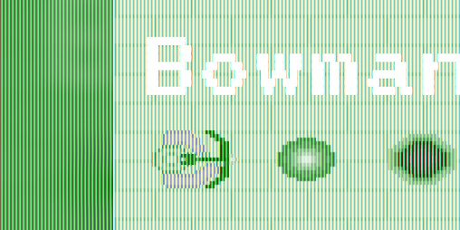 Cover image for Bowman