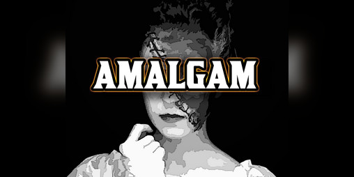 Cover image for The Amalgam