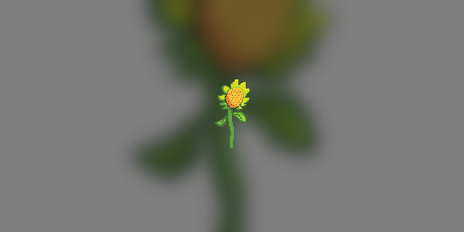 Cover image for Companion Bloom