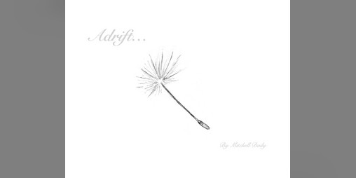 Cover image for Adrift