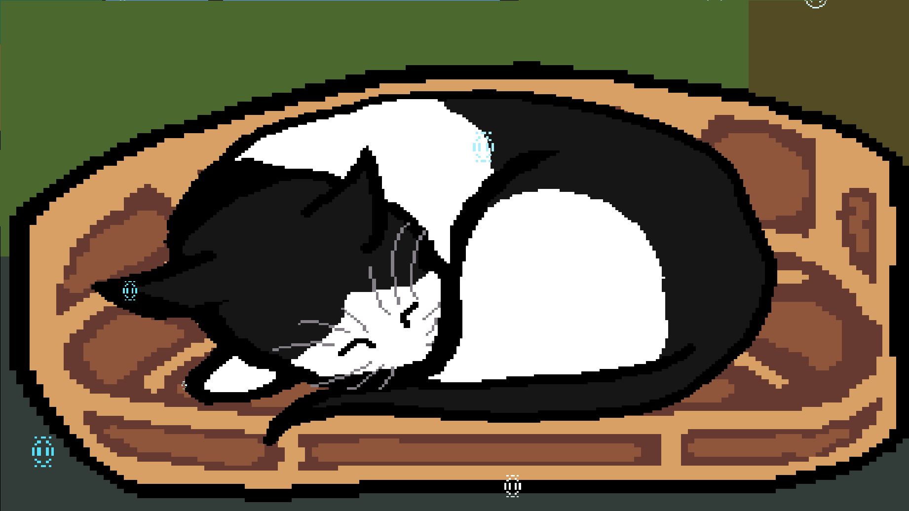 Cover image for Catventure