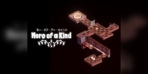 Cover image for More of a Kind