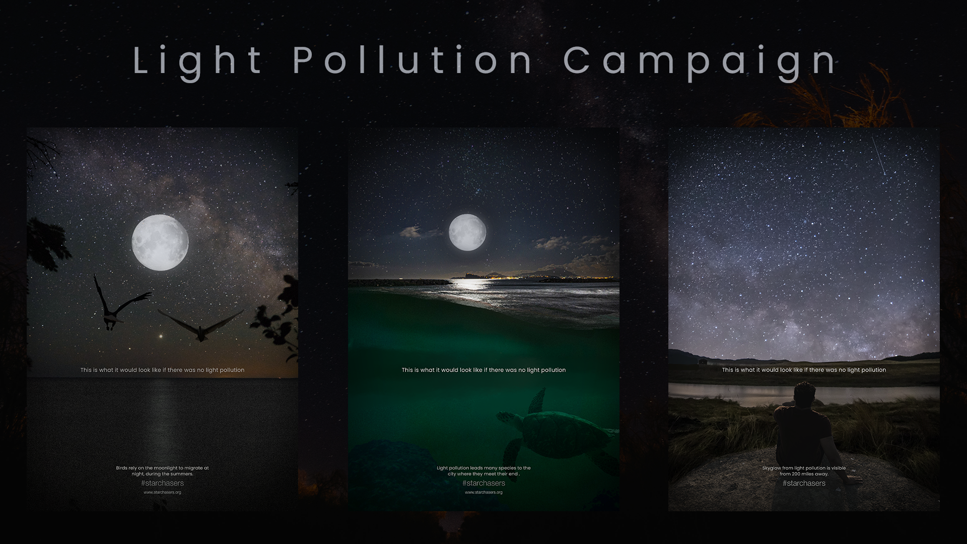 Light Pollution Campaign
