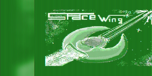Cover image for Space Wing - C64 "3 full game maps!!!"