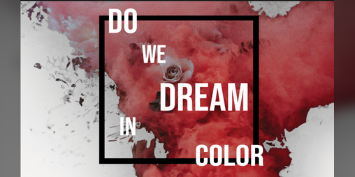 Cover image for Do We Dream in Color?