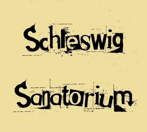 Cover image for Down and Out in a Schleswig Sanatorium