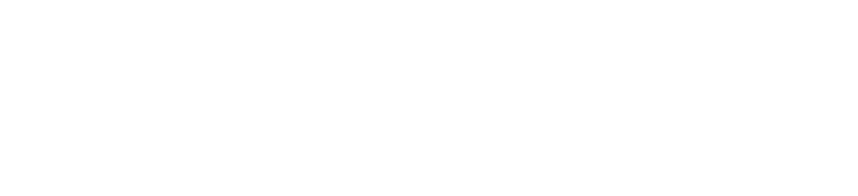 the darkness & the rot