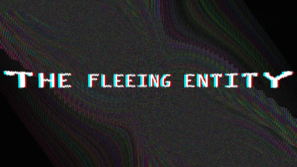 Cover image for The Fleeing Entity