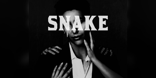 Cover image for The Snake