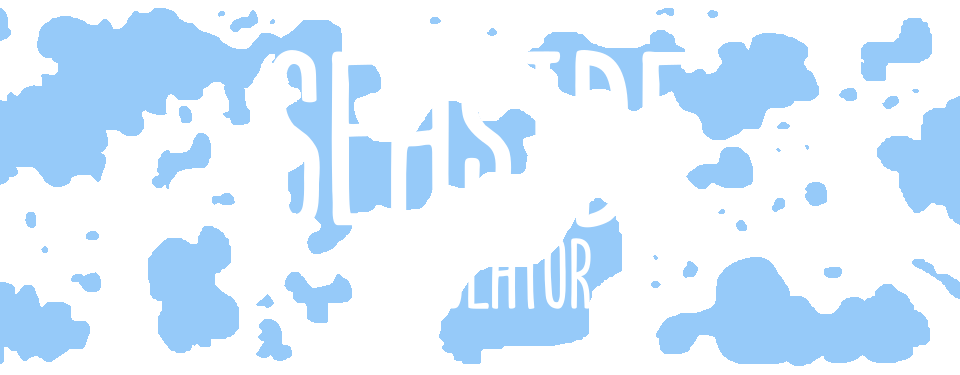 SeaSideSim