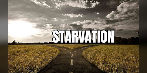 Cover image for STARVATION