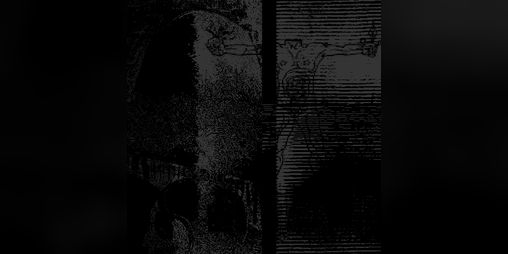 Cover image for nequient