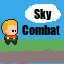 Cover image for Sky Combat