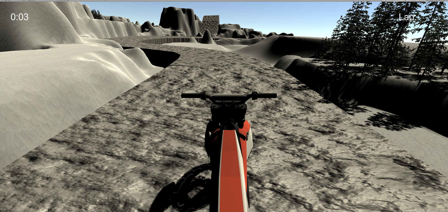 WIP Enduro Track