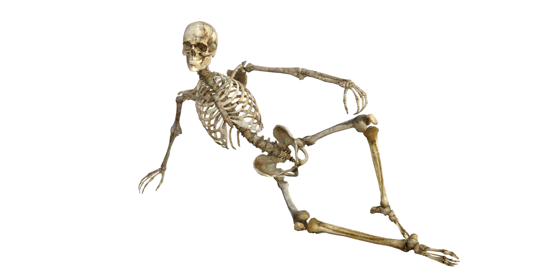 lounging skeleton