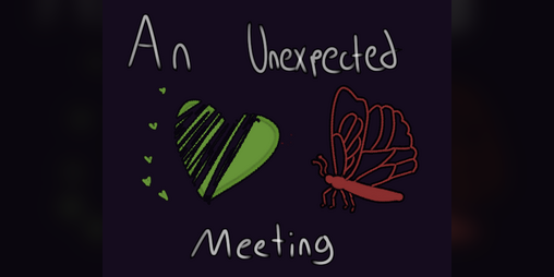 Cover image for An Unexpected Meeting