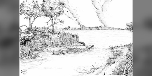 Cover image for VeoVeo Animales en el Delta
