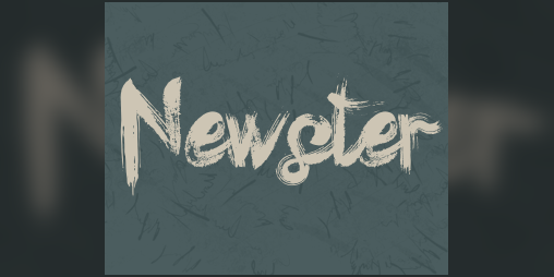 Cover image for Newster