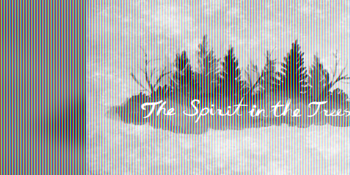 Cover image for The Spirit in the Trees