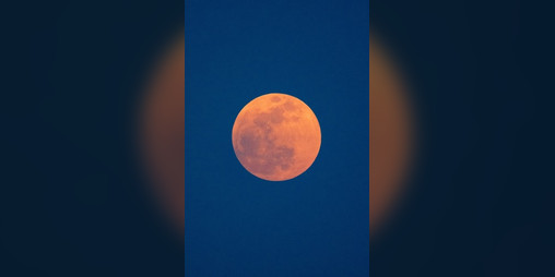 Cover image for ALL THE MOONS IN THE SKY