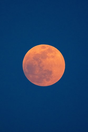 Cover image for ALL THE MOONS IN THE SKY