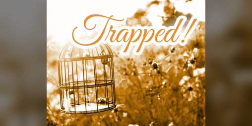 Cover image for Trapped!