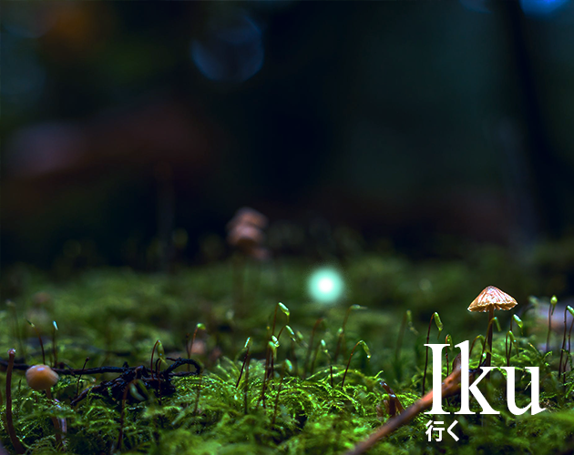 Cover image for Iku