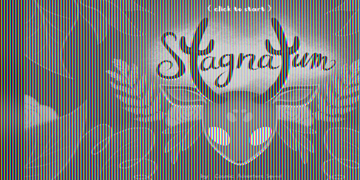 Cover image for Stagnatum