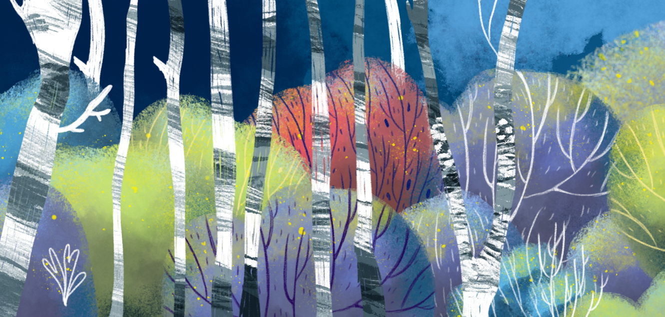 Cover image for The little walk