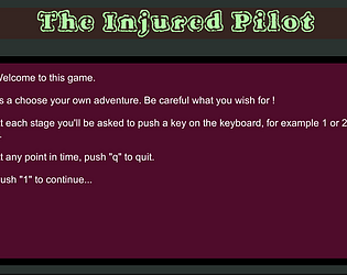 The Injured Pilot