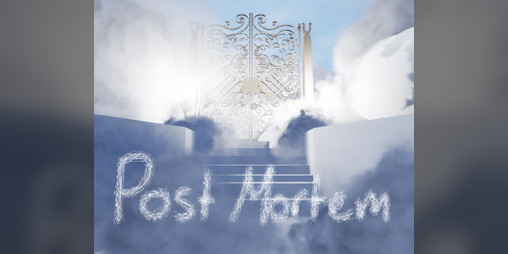 Cover image for Post Mortem