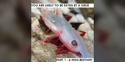 Cover image for You Are Likely to Be Eaten by a Grue - Part 1: A Mini-Bestiary
