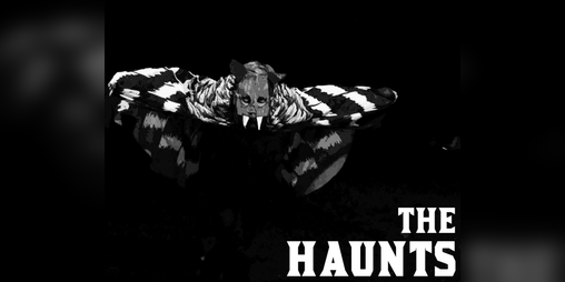 Cover image for THE HAUNTS