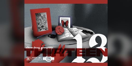 Cover image for Thirteen