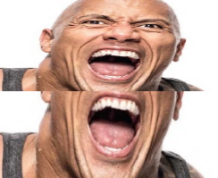 The Rock: The Game