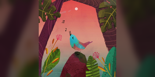 Cover image for Birdy Song