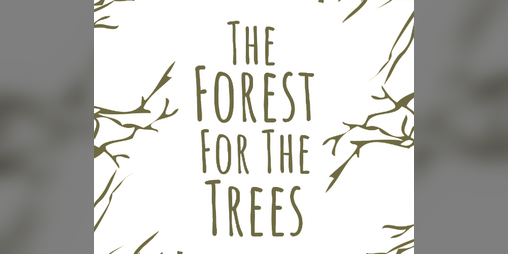 Cover image for The Forest For The Trees