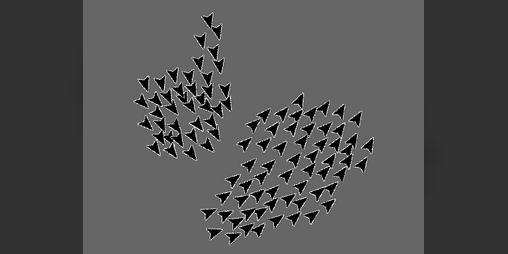 Cover image for Boids