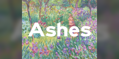 Cover image for Ashes