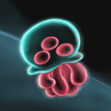 Squid Rush