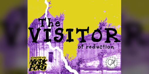 Cover image for The Visitor