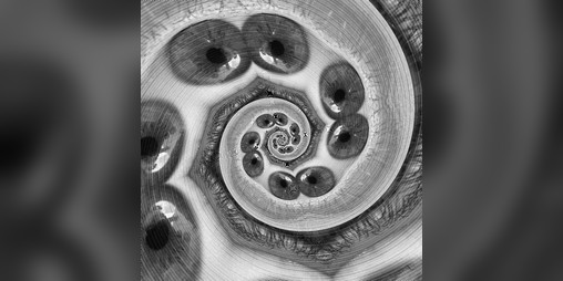 Cover image for Obscurum